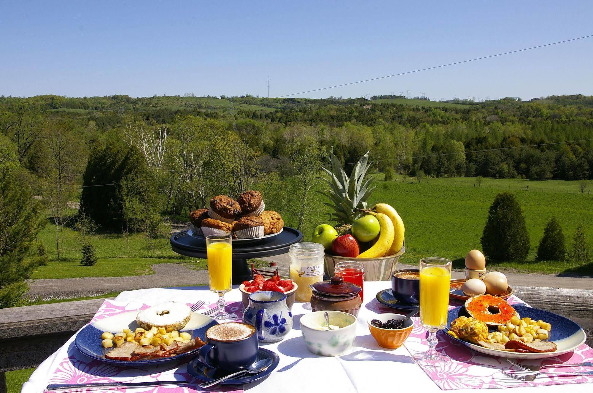 Our Valley View Bed & Breakfast Hampton Екстер'єр фото