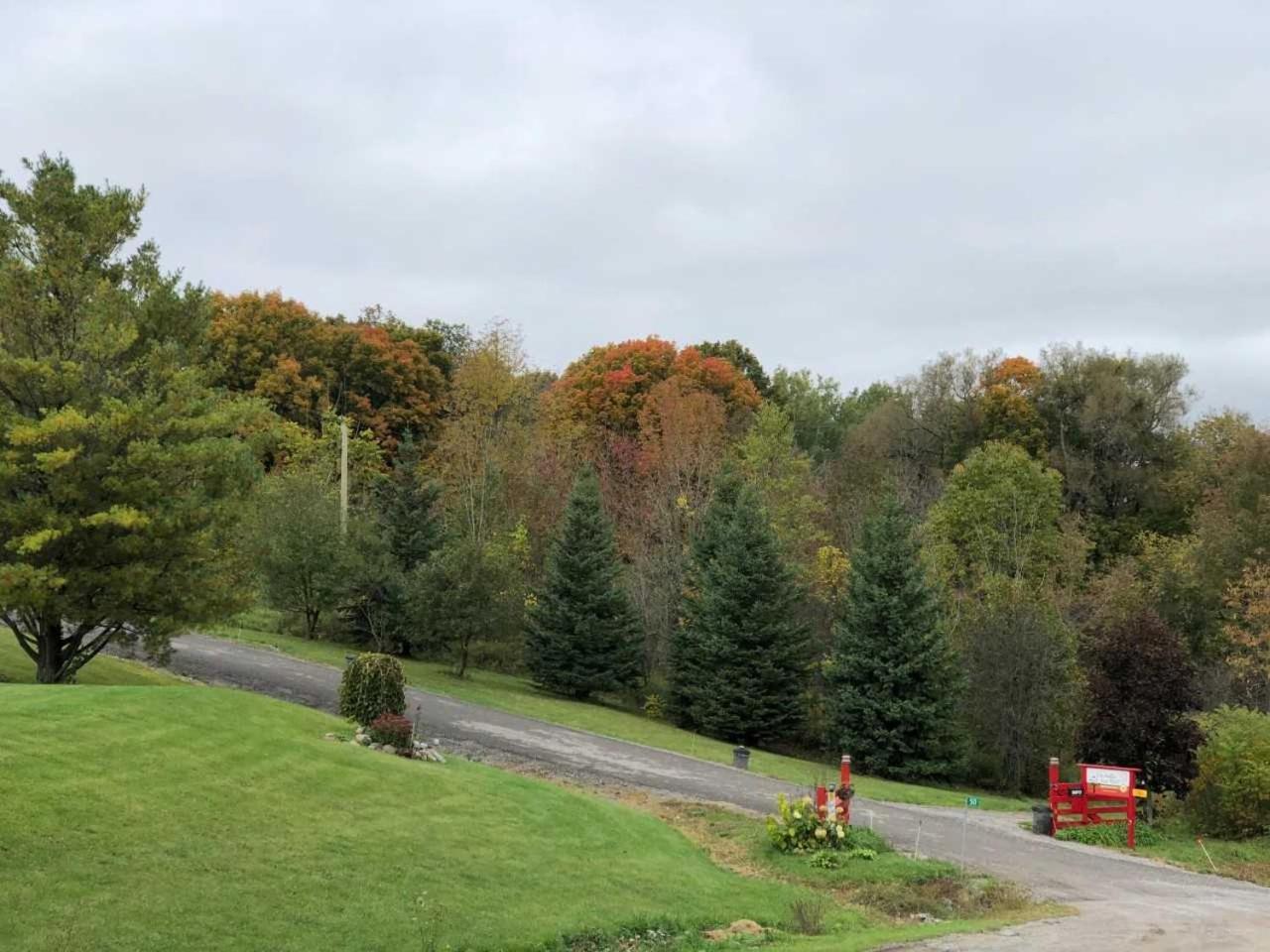 Our Valley View Bed & Breakfast Hampton Екстер'єр фото